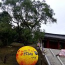야로작은도서관 | 고려 시대를 주제로 한 전국 유일의 2023 강화문화재야행 축제