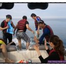 하얀배 민박 이미지