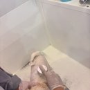 산두로펫살롱 네이버블로그