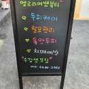 엘르리여쌤뷰티 | 퍼메나헤어3종 탈모에 가장빠른 방법을 찾았다