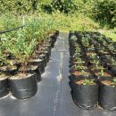 강산농장 이미지