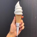 두두스테이 이미지