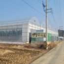 칠포농장 네이버블로그
