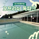 임진낚시캠핑 | 파주 애견카페 오프리쉬 독파크 소형견 수영장 찐후기