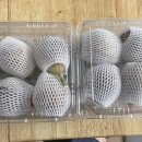 영오농장 이미지