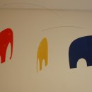 메디버스 이미지