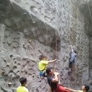 수지아르피아 이미지