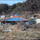 도우민박 이미지