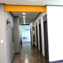 박사 K 태권도장 이미지