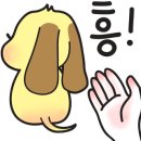 비비큐(BBQ) 태권도원점 네이버블로그