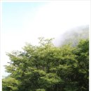 새밭야영장 | [오토캠핑] 처가 식구들과 함께한 새밭계곡 - 새밭야영장