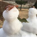 힐링 우쿨렐레 이미지