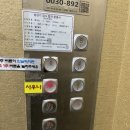 개화산랜드 이미지