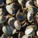 익생한의원 이미지