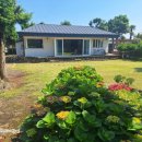 세화 동백그늘 이미지