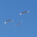 임진적벽길 이미지