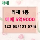 리채공인중개사사무소 이미지