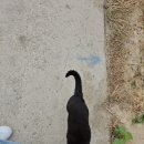 일번지농장 이미지