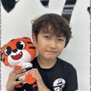 신나는태권도장 이미지