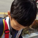 진부초등학교 이미지