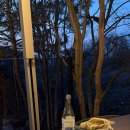 히든 포레 이미지