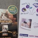 이기쁨동물병원 이미지