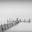 어류정낚시터 이미지