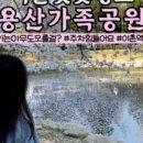 반월놀이공원 이미지