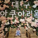여행하리 네이버블로그