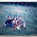 영동초교 이미지