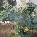 동성공원 이미지