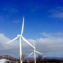 춘자목장 이미지