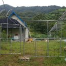 중식농장 이미지