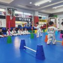 경희대 키즈 태권도장 이미지