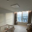 후 스토리 | [후 기] 숲소리 스토리 데이베드 실사용 후기