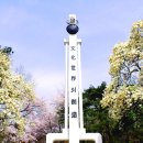 경희대학교(청운관) Daum카페