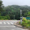 분천리경로당 Daum카페