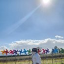 필돌농장 | 서울경기 근교 아기랑 가기 좋은 안성팜랜드 가을 예쁜 핑크뮬리