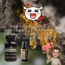 씨피테라피