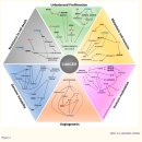 Re:Hypoxia-Modified Cancer Cell Metabolism - 2019년 review 논문 이미지