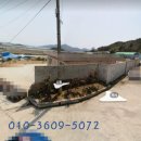 가비민박 이미지