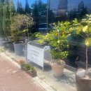 해송다방 이미지