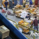 디에스팜 이미지