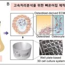 원모사 이미지