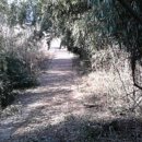 행산농장 이미지