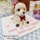 일편댕심 | 뜨거웠던 8월의 댕빵소 강아지케이크기록[성남강아지케이크,위례강아지케이크,분당강아지케이크,송파...