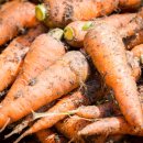 정성농장 이미지