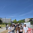 🎓 연세대학교 캠퍼스투어 후기 | 청소년 진로탐색과 대학생 멘토링