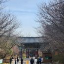 덕산도립공원 수덕사 주차장 | 덕산스플라스 인근 둘러볼만한 예산 수덕사 주차장 먹거리 기념품 가람배치도