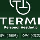 테르미